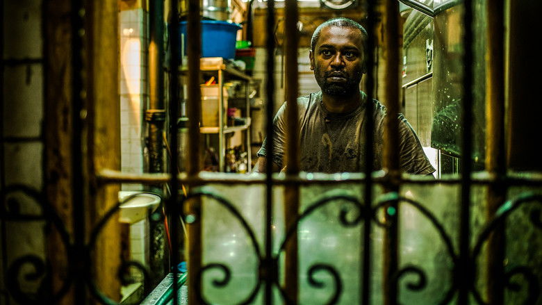 A Yellow Bird photo 1