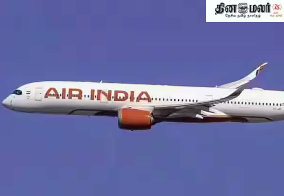 Probe on false hijack alert that diverted Air India flight to Jaipur