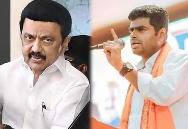 Annamalai asks DMK about promised Rs 100 LPG subsidy per cylinder