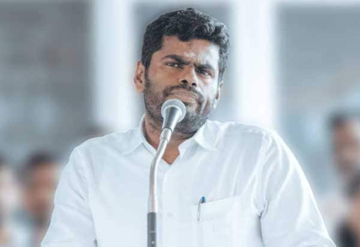 கொள்கை முடிவுக்கு முன் முழு ஆய்வு அவசியம்; அண்ணாமலை வலியுறுத்தல்
