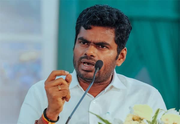 Annamalai asks Stalin to stop 'Hindi imposition' politics, address issues