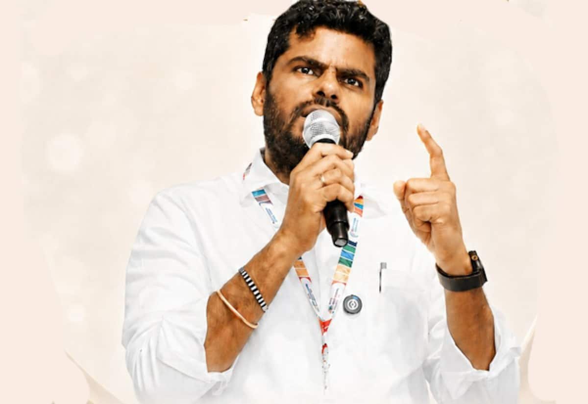 Annamalai says TN white paper offers no major new revelations
