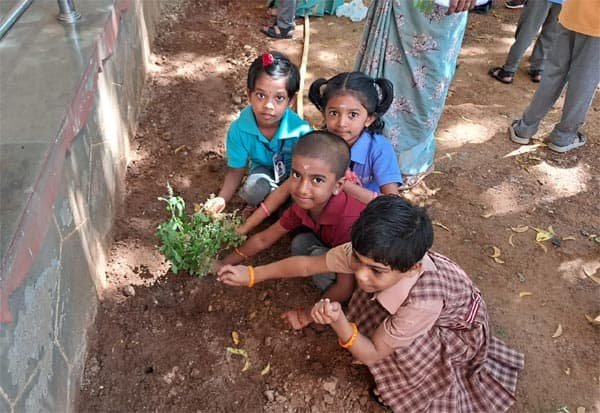 17 பள்ளிகளில் தேனீ நட்பு தாவரங்கள்: உலக சுற்றுச்சூழல் தினத்தை அயுத் கொண்டாட்டம்