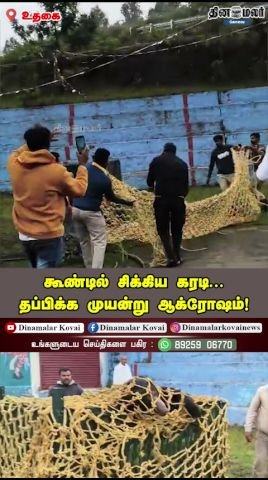 கூண்டில் சிக்கிய கரடி; தப்பிக்க முயன்று ஆக்ரோஷம்