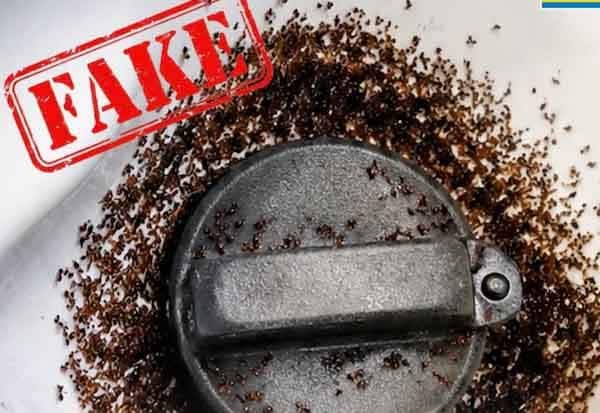BPCL denies viral claim that ants are attracted to ethanol-blended fuel