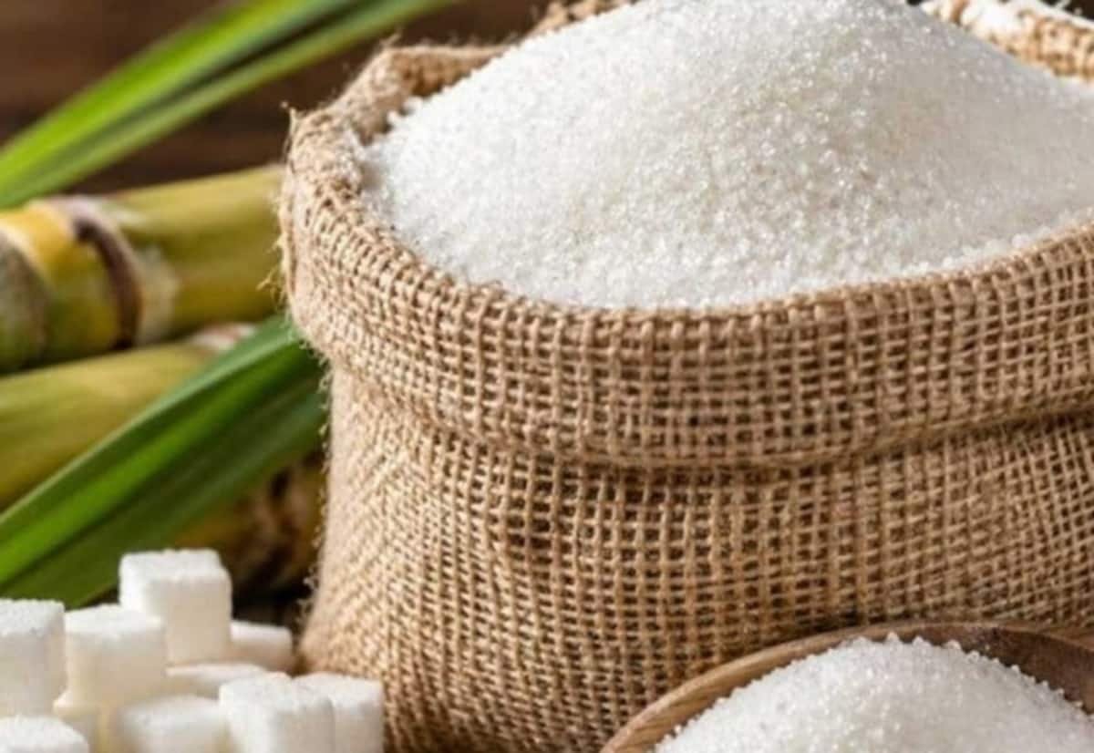Centre denies ethanol diversion behind sugar price rise