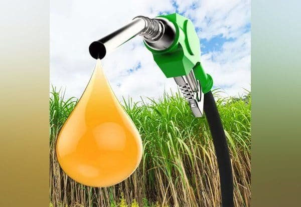 Centre plans review of E85 ethanol-blended petrol policy