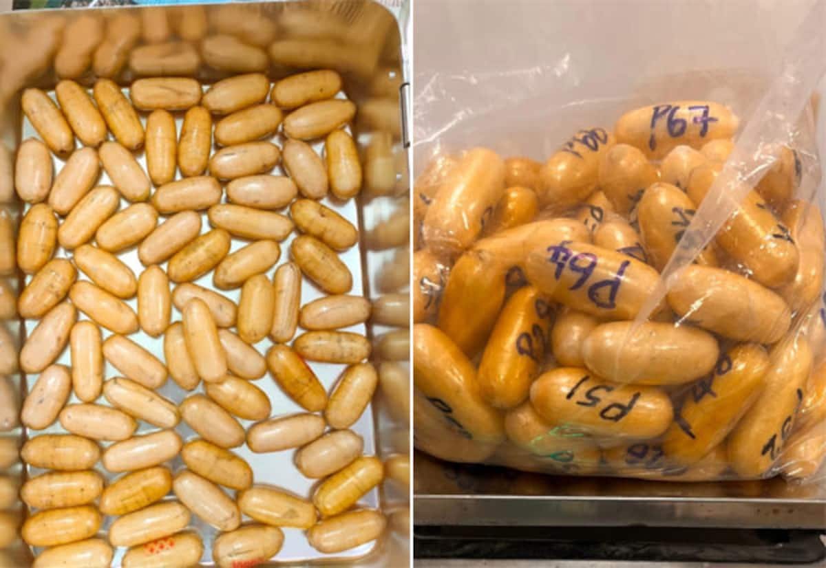 Chennai airport seizure: Rs 15 crore cocaine found, Kenyan woman held