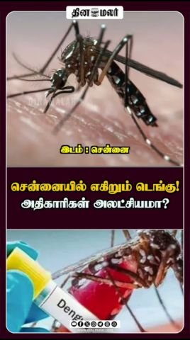 சென்னையில் டெங்கு அதிகரிப்பு; அதிகாரிகள் நடவடிக்கையில் கேள்வி