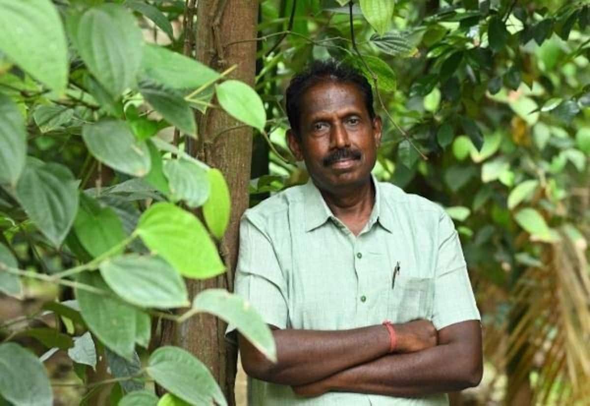 Tree-based farming is the need of the hour: Coimbatore natural farmer