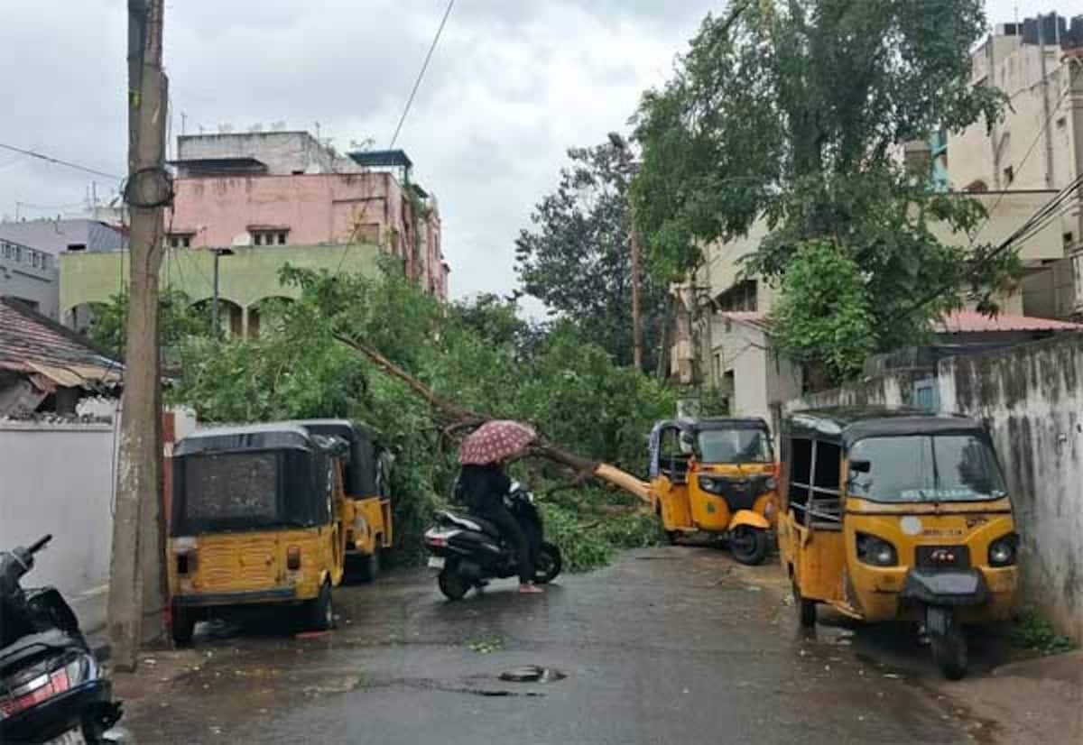 Cyclone Arnab hits Andhra coast; 5 dead, heavy rain disrupts flights