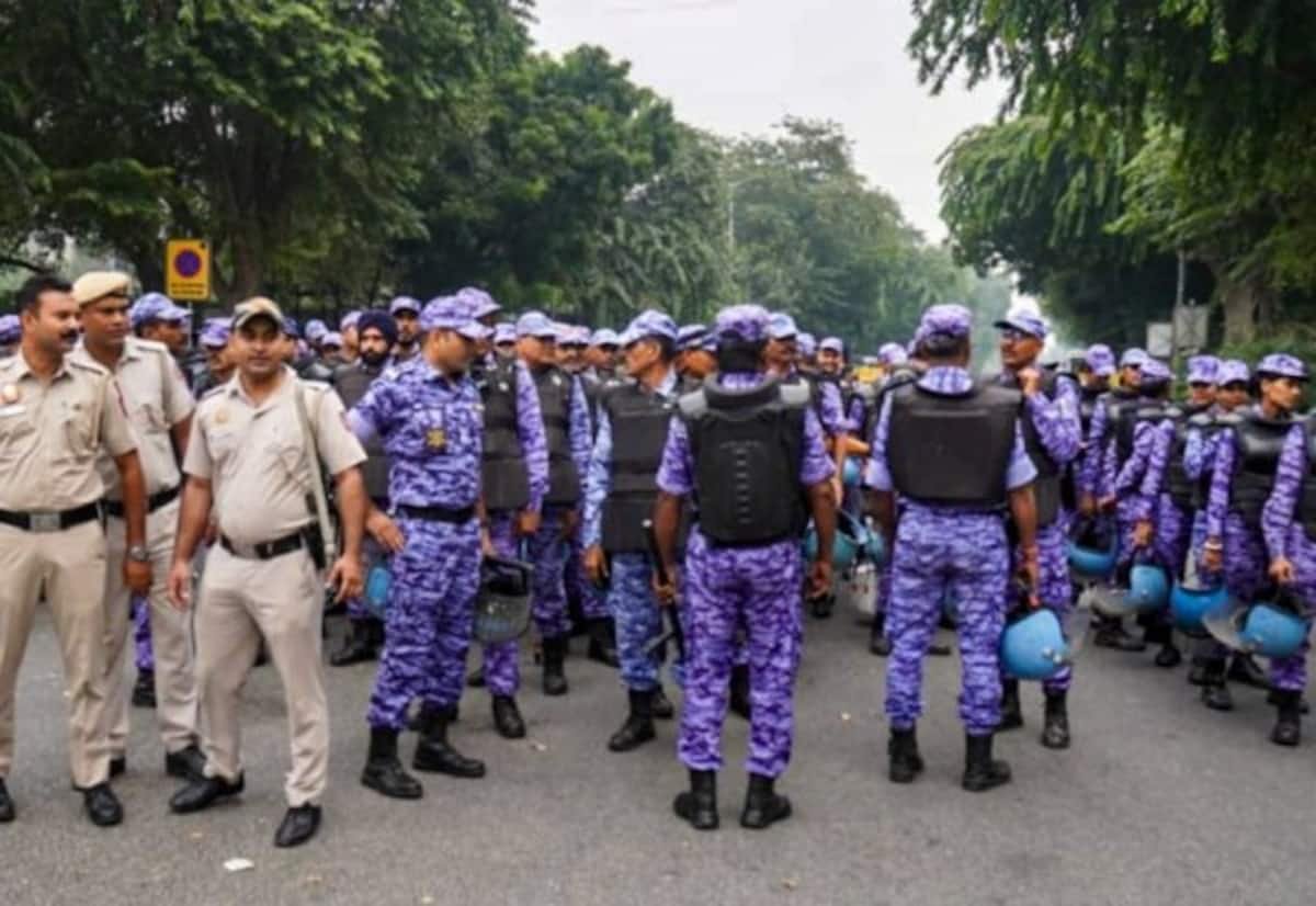 கரப்பான் கட்சி போராட்டம்: டில்லியில் ஏன் கடும் போலீஸ் பாதுகாப்பு?