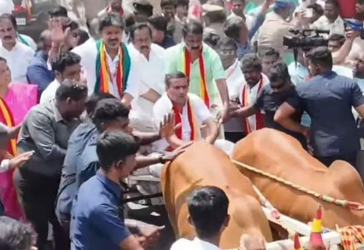 முதல்வர் விஜய் ரோடு ஷோவில் மாட்டு வண்டி ஓட்டியவர் குறித்து சர்ச்சை