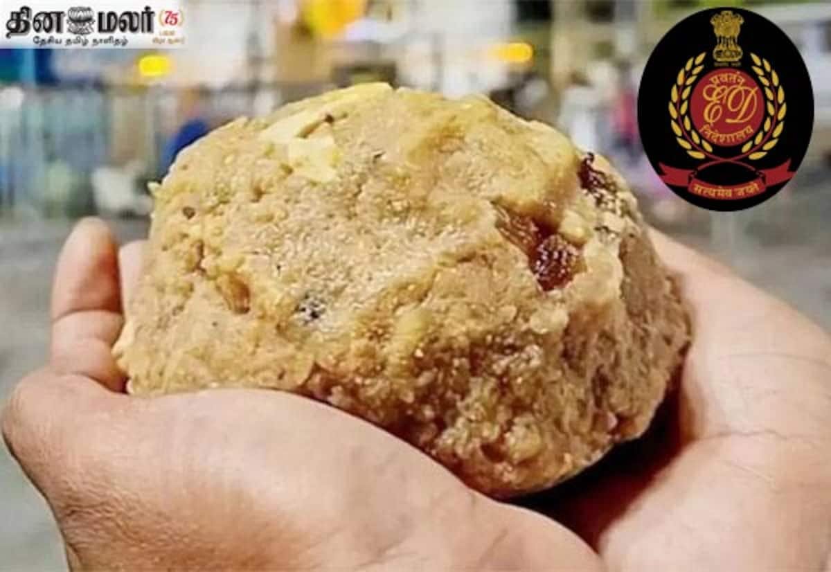 ED arrests Sukruti Foods owner in Tirupati laddu ghee adulteration case