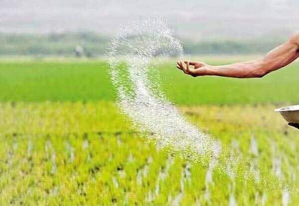 Fertiliser prices surge amid US-Iran war, farmers fear summer crop hit