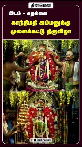 Mulai Kattu festival held for Gandhimathi Amman