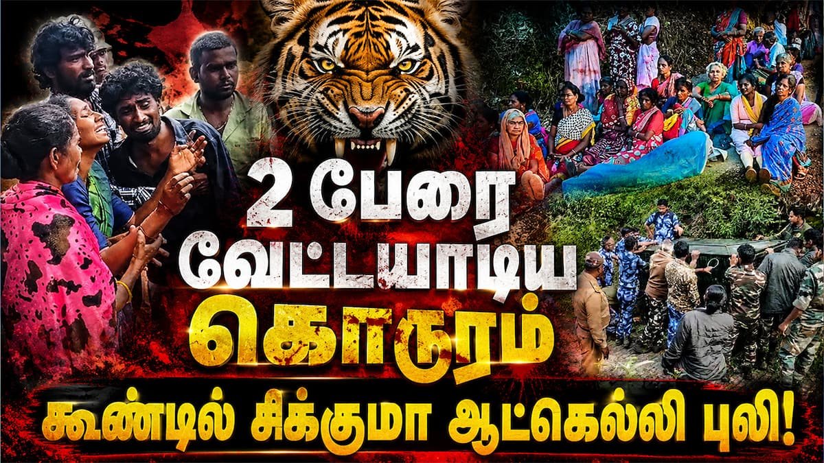 தமிழ்நாடு செய்திகள்