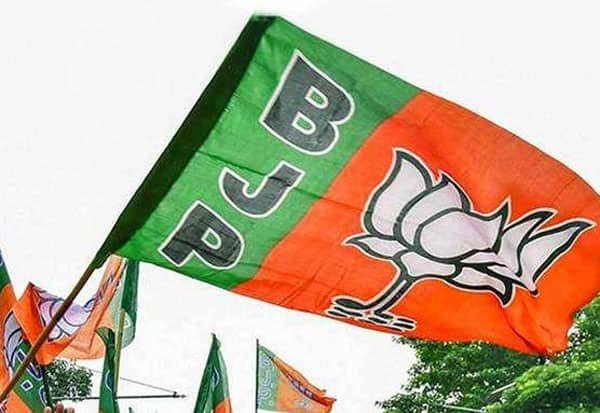 Gujarat local polls: BJP wins 4 new civic bodies, leads in 11 more