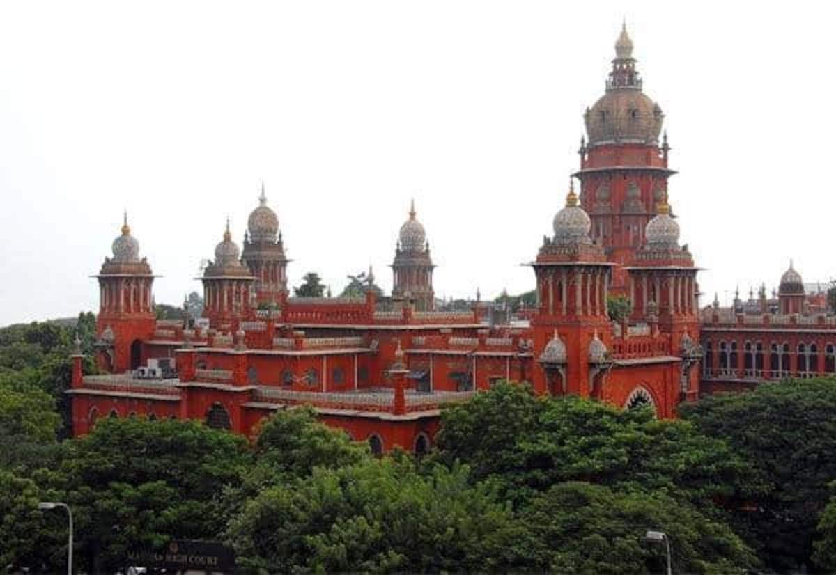 HC asks TN govt to reply on guidelines for elephants in temple festivals