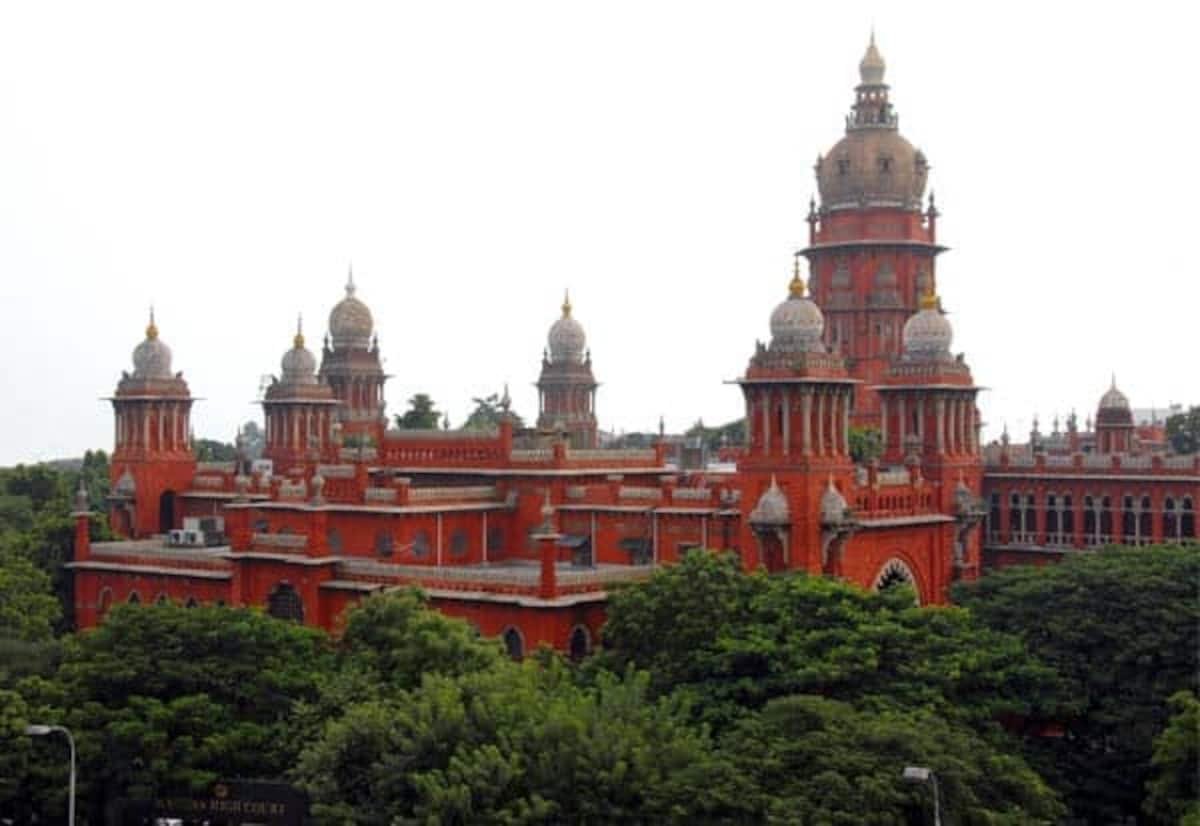 Madras HC orders scrutiny of resort records on elephant corridor in Coimbatore