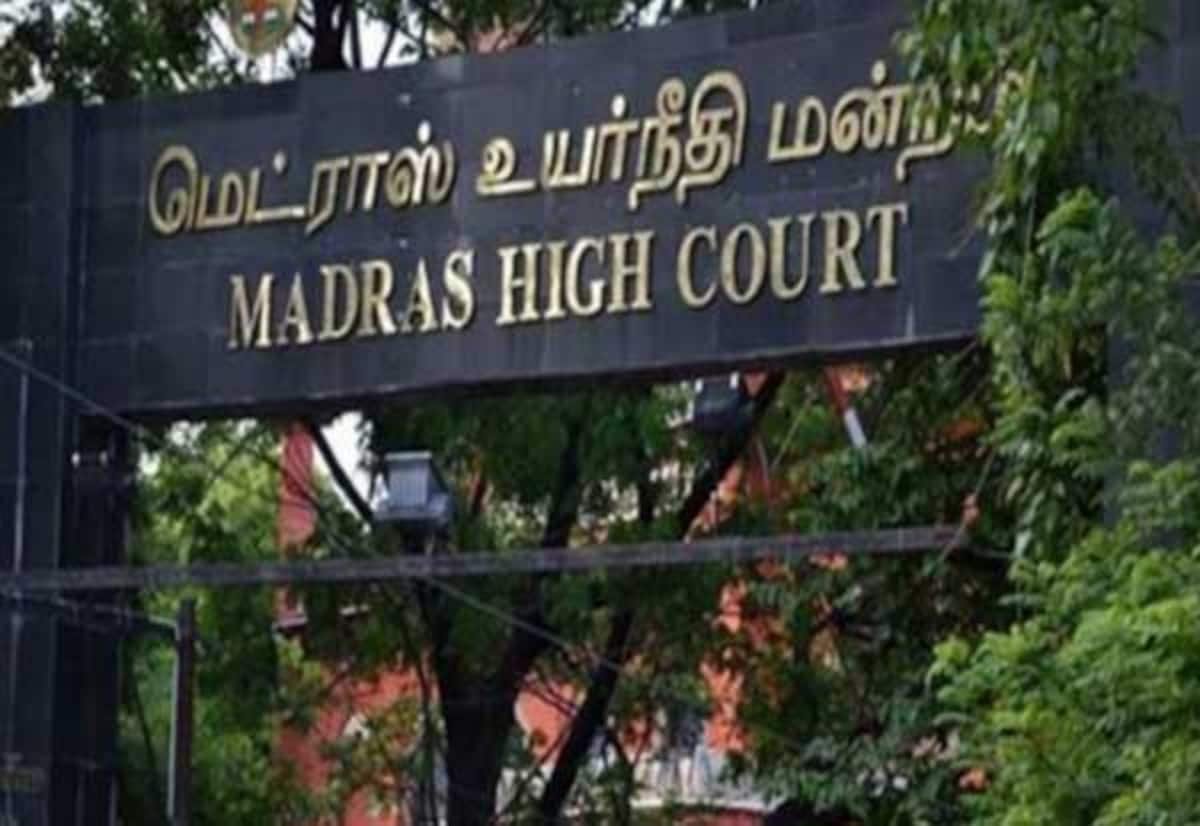 Madras High Court gives TN govt 3 months to study elephant corridors