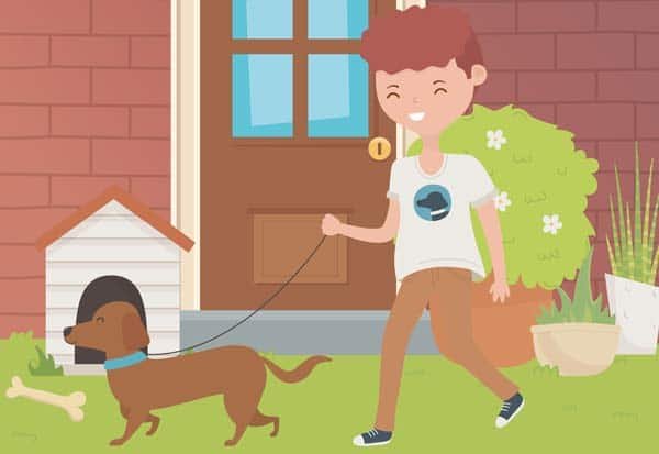 மேற்கு ஆசியப் போர்ப் பாதிப்பில் இருந்து திரும்பும் இந்தியர்களுக்கு செல்லப்பிராணி விதிகள் தளர்வு