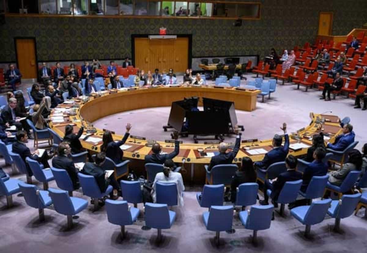 India urges veto power for all UN Security Council permanent members