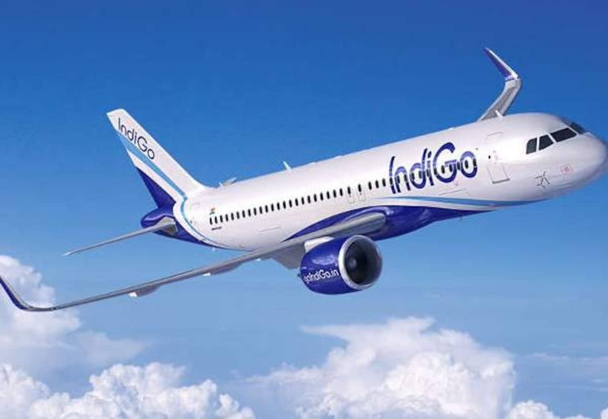 IndiGo launches ‘Lite’ fares for passengers flying with only a handbag