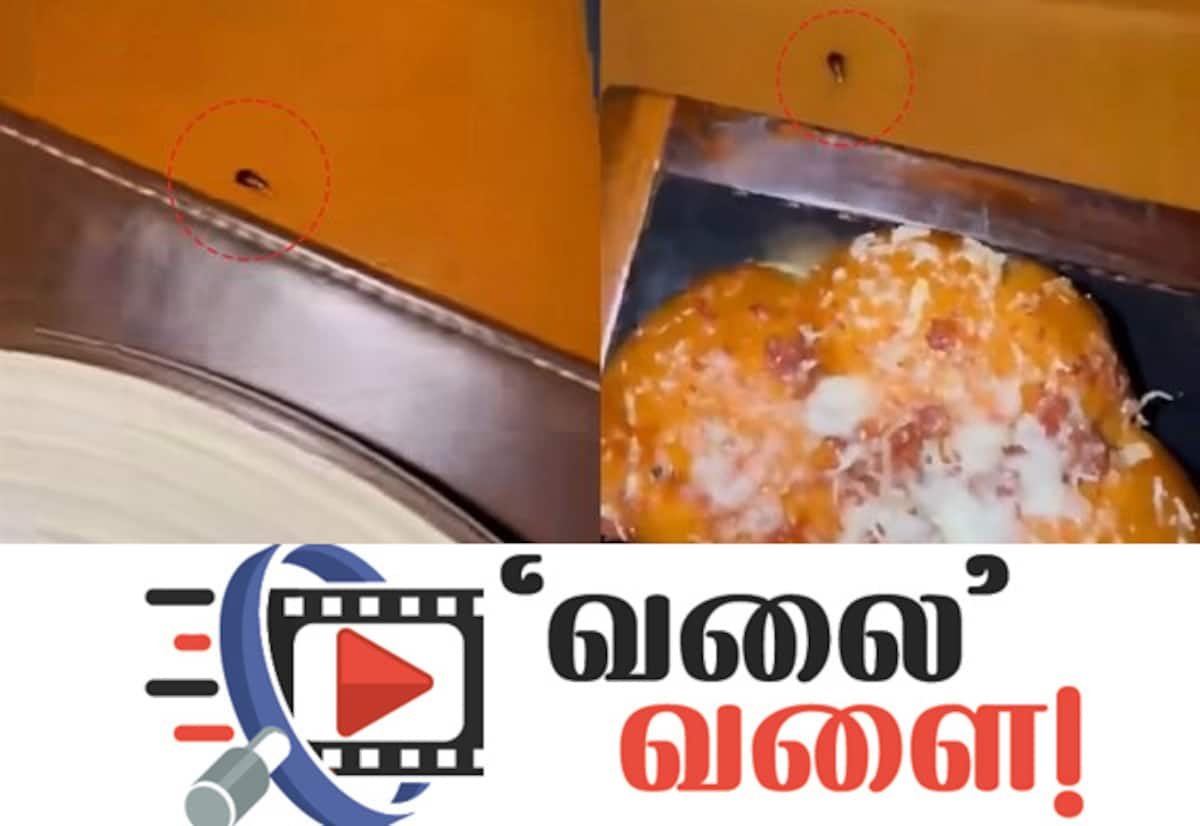 மும்பை ஜே.டபிள்யூ. மரியட்டில் டின்னர் மேசையில் கரப்பான்; மருத்துவர் அதிர்ச்சி