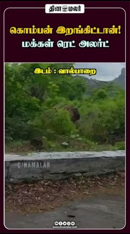 Dinamalar short titled 'Komban has arrived', public on red alert