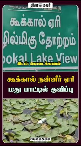 Liquor bottles found dumped at Kookkal freshwater lake