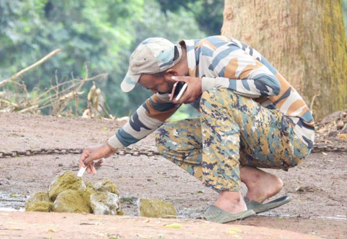 Kumki elephant Vijay undergoes medical examination at Mudumalai