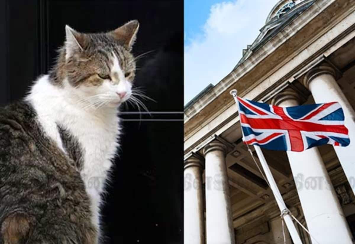 UK PMs come and go, but Larry the cat stays at No. 10