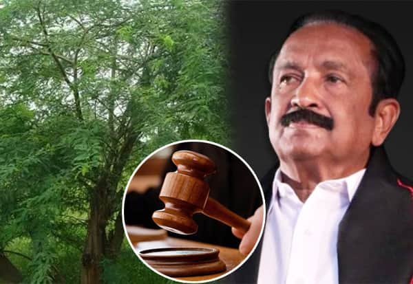 சீமைக்கருவேல அகற்றம்: அதிகாரிகளுக்கு மதுரை ஐகோர்ட் எச்சரிக்கை