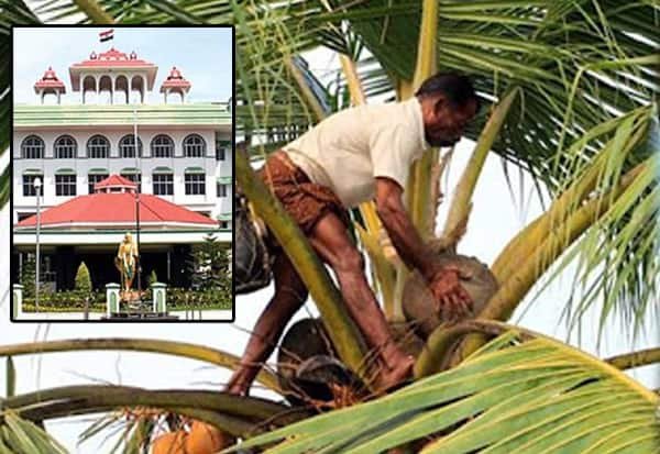 கள் இறக்க, விற்க அனுமதி வழக்கு: அரசு பதிலில் தாமதம் என ஐகோர்ட் எச்சரிக்கை