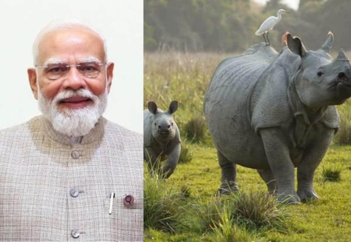 உலக காண்டாமிருக தினம்: பாதுகாப்பில் வனத்துறையினர் பங்கு முக்கியம் என பிரதமர் மோடி பாராட்டு