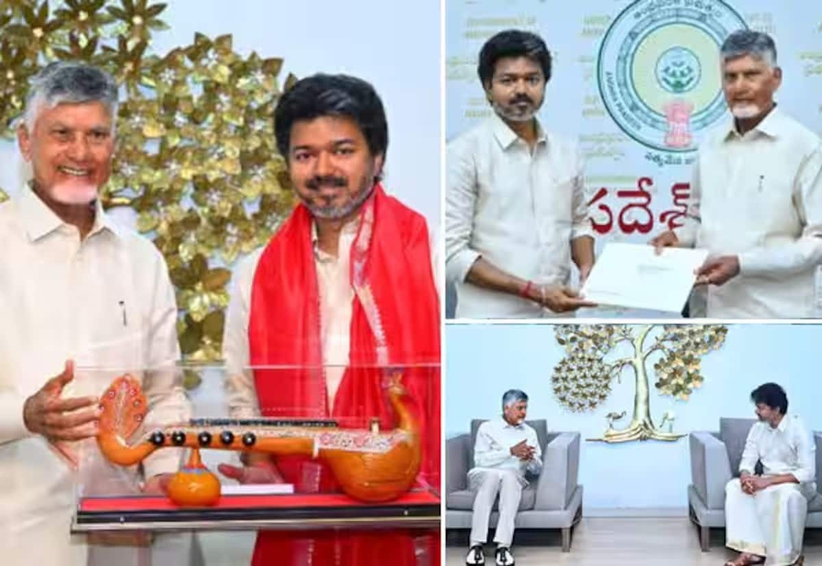 Naidu briefs CM Vijay on Centre-backed projects in Andhra Pradesh