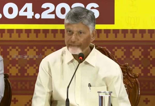 Naidu says South India seats won’t shrink, campaigns in Tamil Nadu