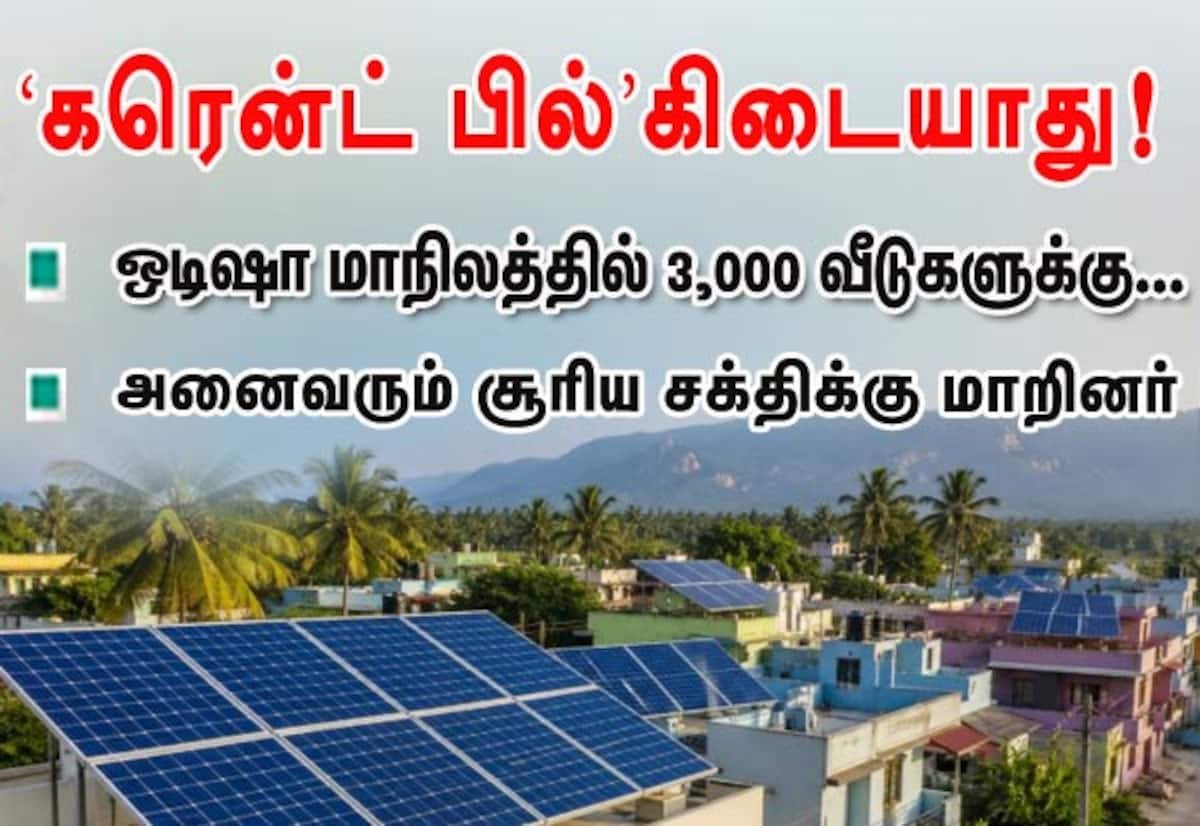 3,000 Odisha households get zero power bills after switching to solar