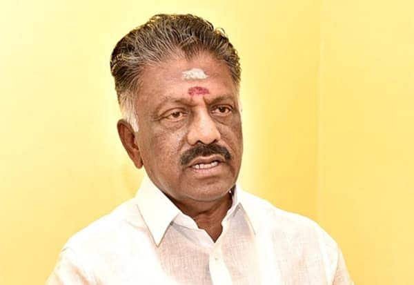 ஸ்டாலின் உழைப்பால் தமிழகம் முன்னோடி மாநிலம்: ஓபிஎஸ் பேச்சு