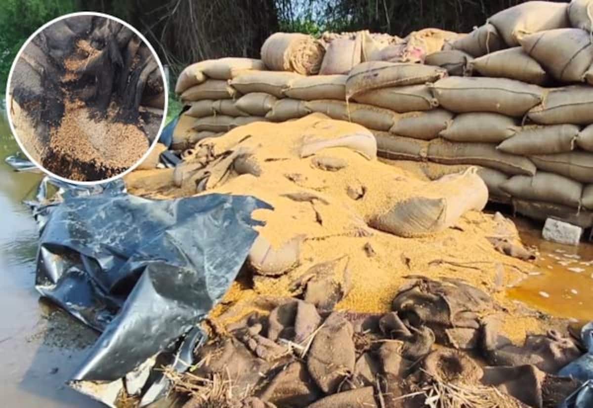 Farmers upset as paddy bags soak in rain at Pattisvaram open yard