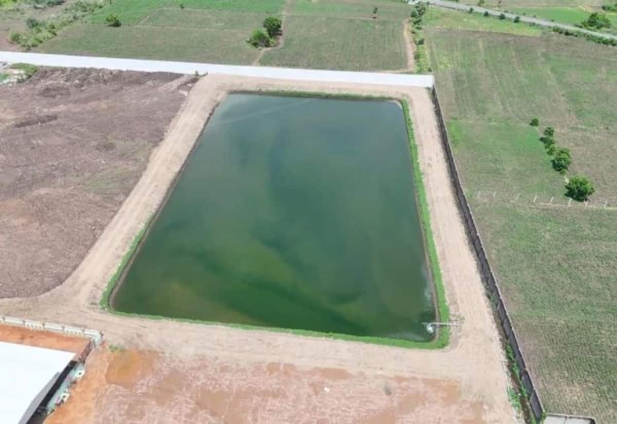 Perambalur varsity recycles hostel wastewater, builds 1-acre farm pond
