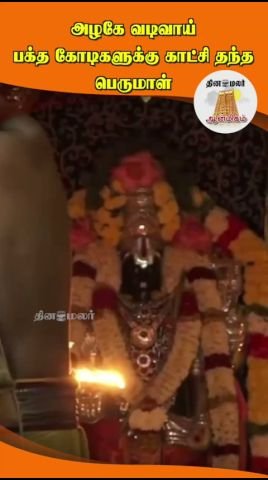 அழகிய வடிவில் பக்தர்களுக்கு காட்சி தந்த பெருமாள்