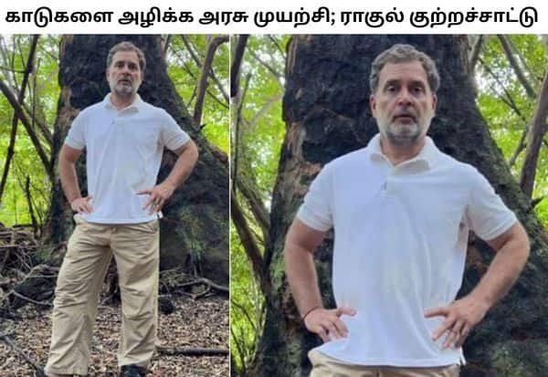 Rahul Gandhi shares Andaman video, warns of rainforest destruction