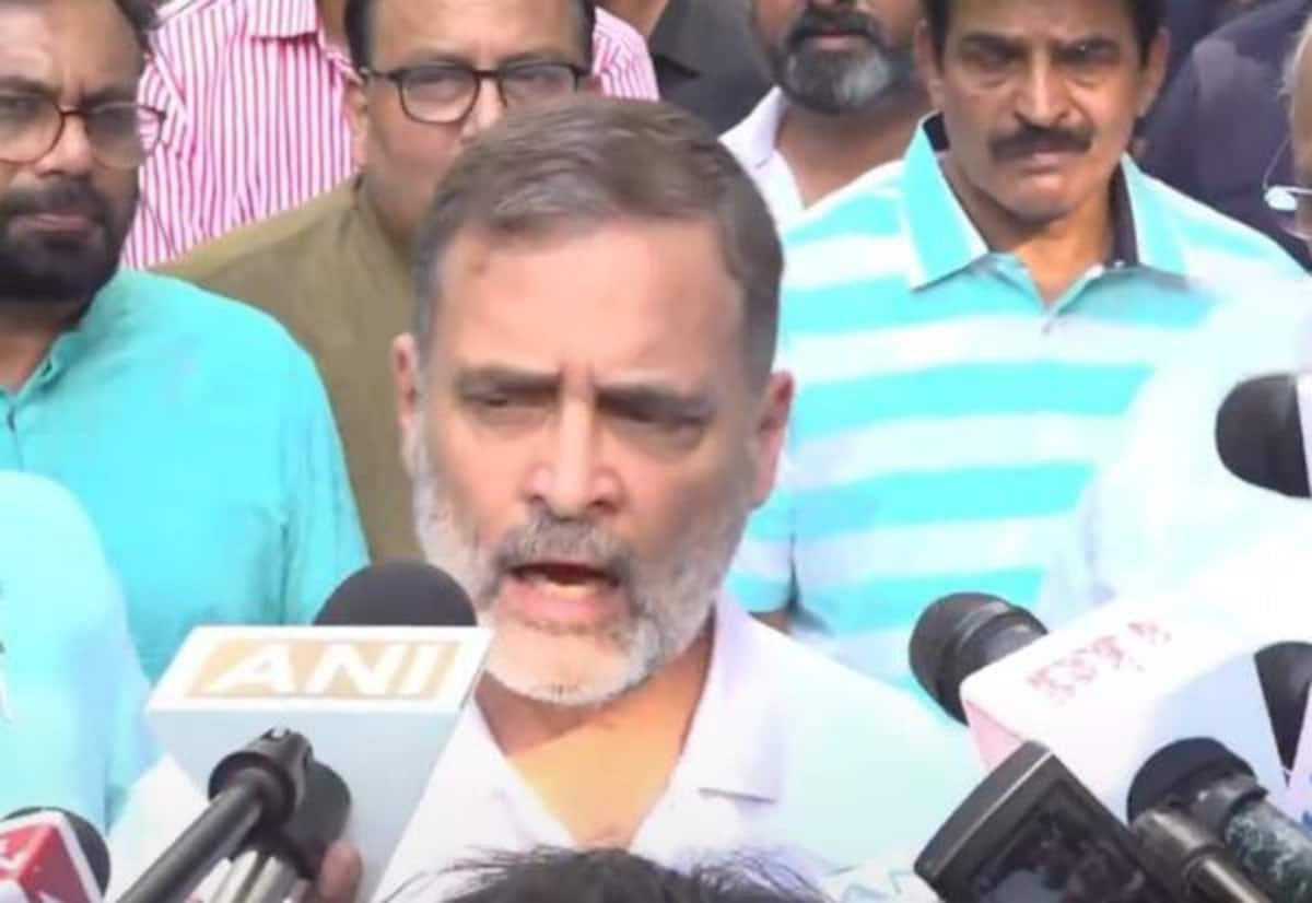 ஒவ்வொரு எப்ஐஆரும் எனக்கு பதக்கம்; 45 வழக்குகள், இலக்கு 100: ராகுல்