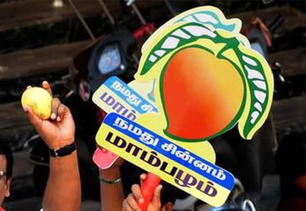 Ramadoss moves Madras High Court seeking freeze on PMK mango symbol