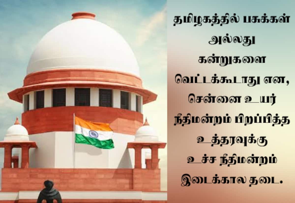 Supreme Court stays Madras HC order on cow, calf slaughter ban in TN