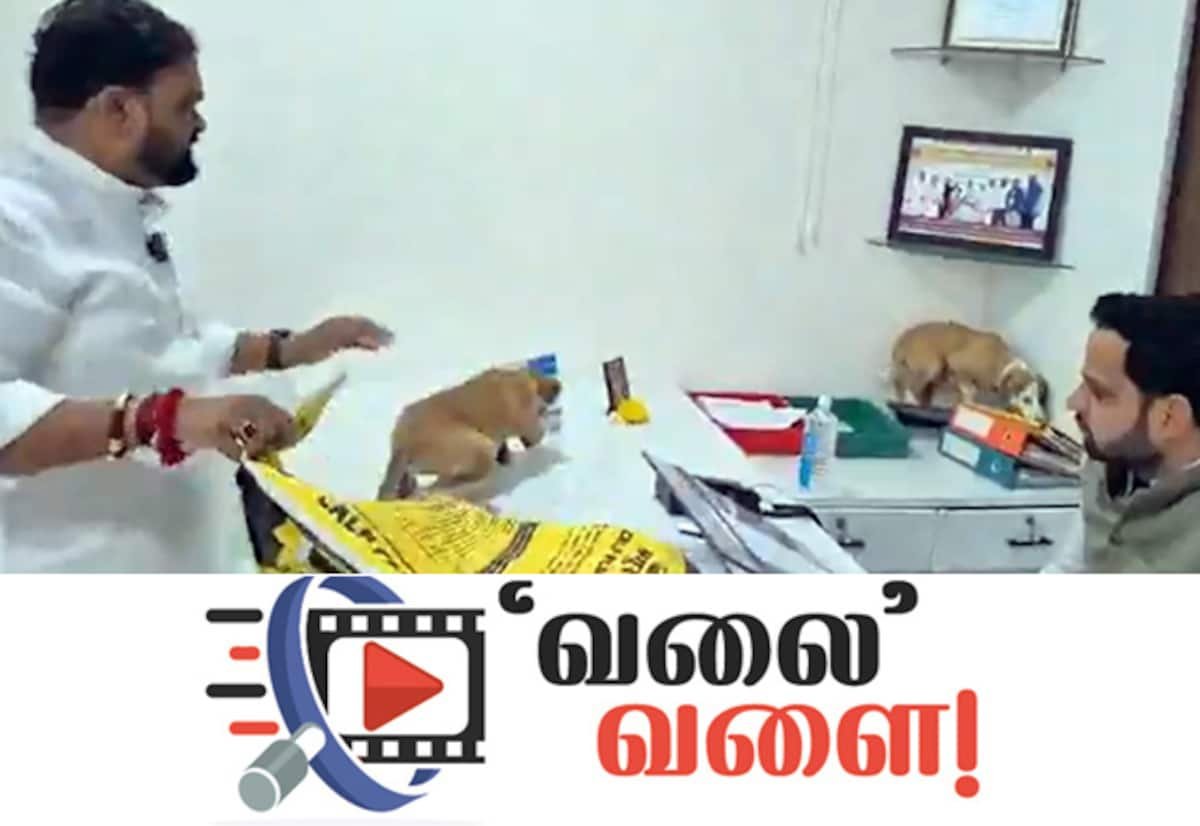 தெரு நாய் தொல்லை: நகராட்சி அலுவலகத்தில் அதிகாரி மேசையில் நாய்களை வைத்த சிவசேனா