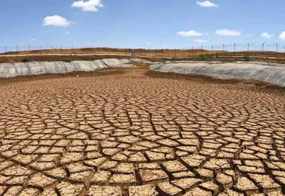 Tamil Nadu dam storage drops fast, drought risk rises after 10 years