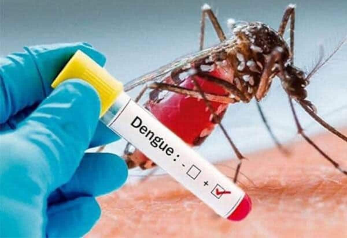 Dengue cases rise in Tamil Nadu; 17,277 infected so far